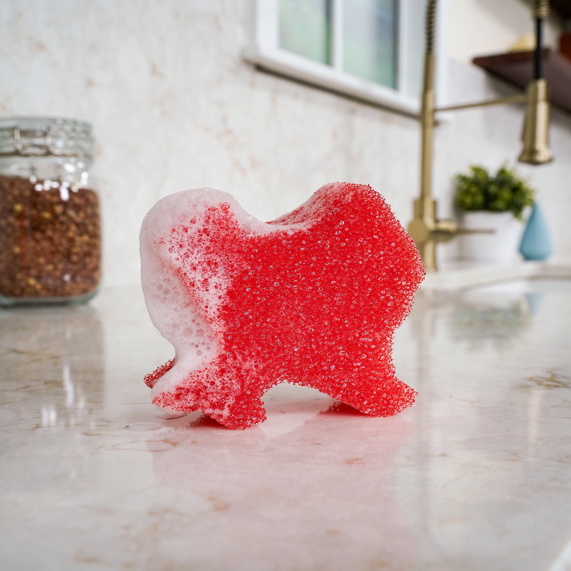 Texas Non-Scratch Cleaning Sponge product photo