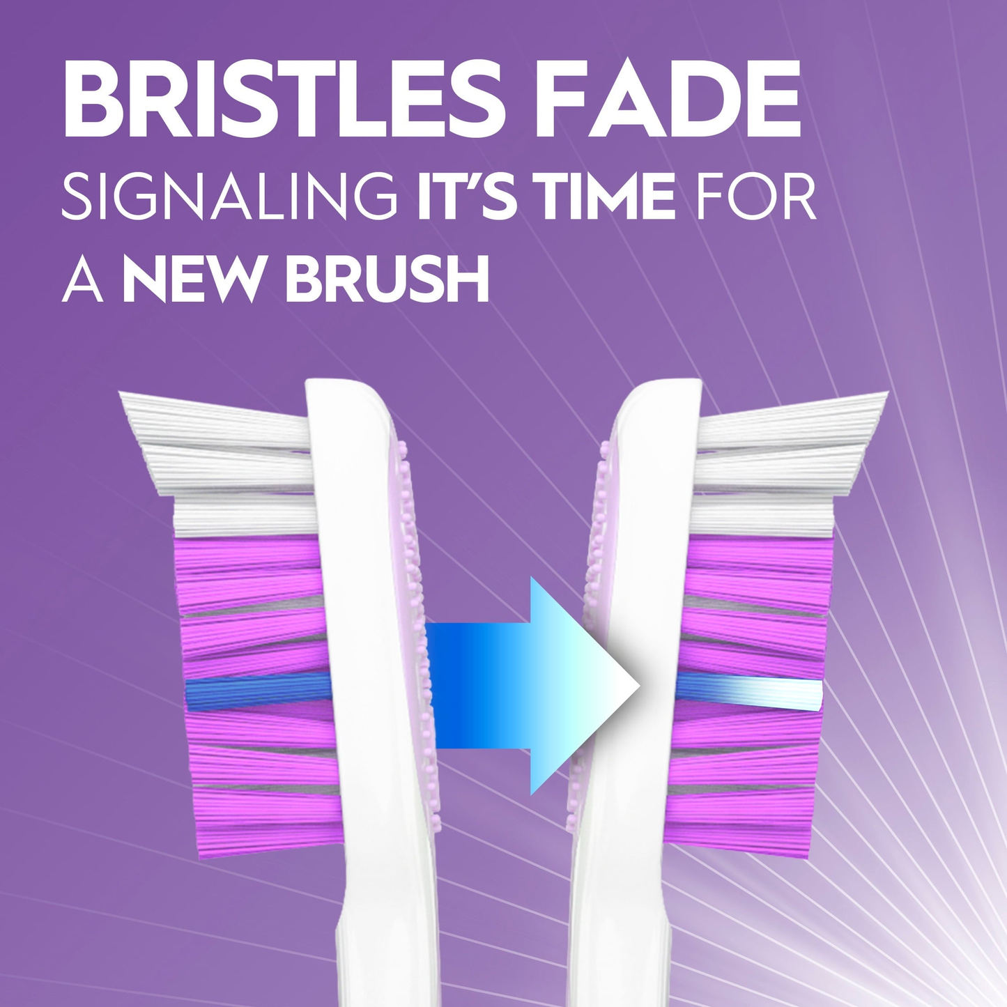 Toothbrush, Advanced Whitening Manual, Soft, 2 Count product photo